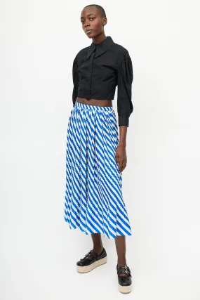 Blue & Green Striped Pleated Skirt