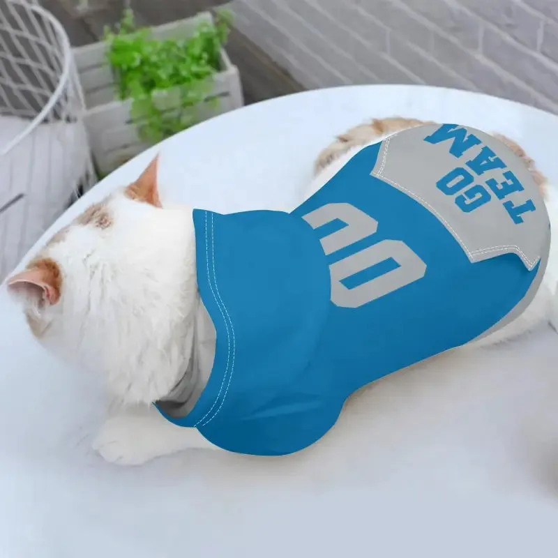 Custom Blue and Grey Dog Hoodie for Small Dogs and Cats