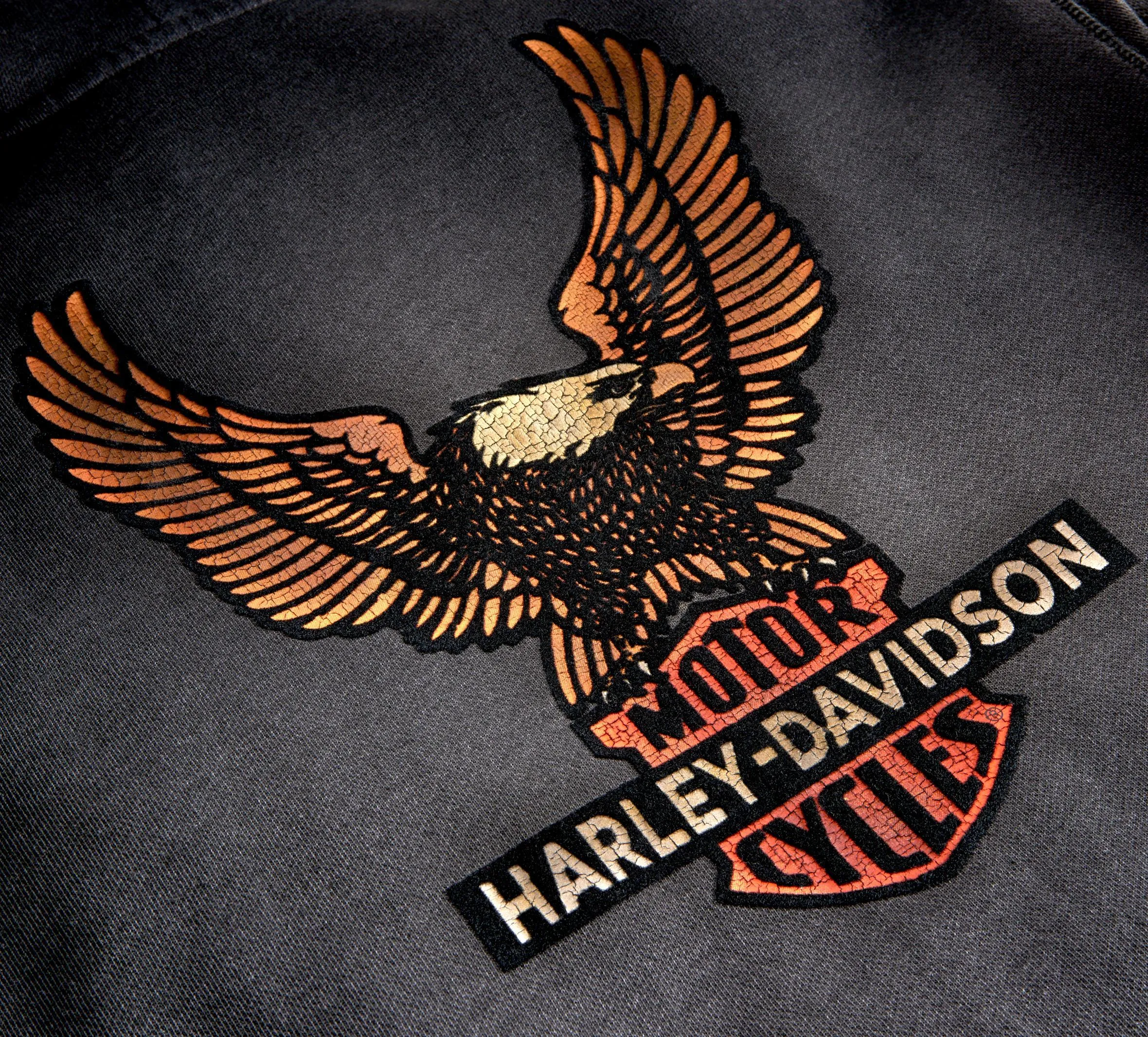 Harley-Davidson® Men's Vintage Eagle Hoodie - 99099-20VM