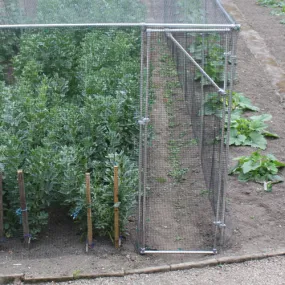 Heavy Duty Fruit Cage Door