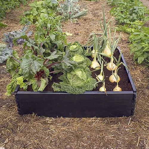 Raised Bed Border