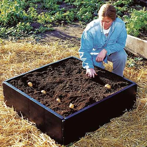 Raised Bed Border