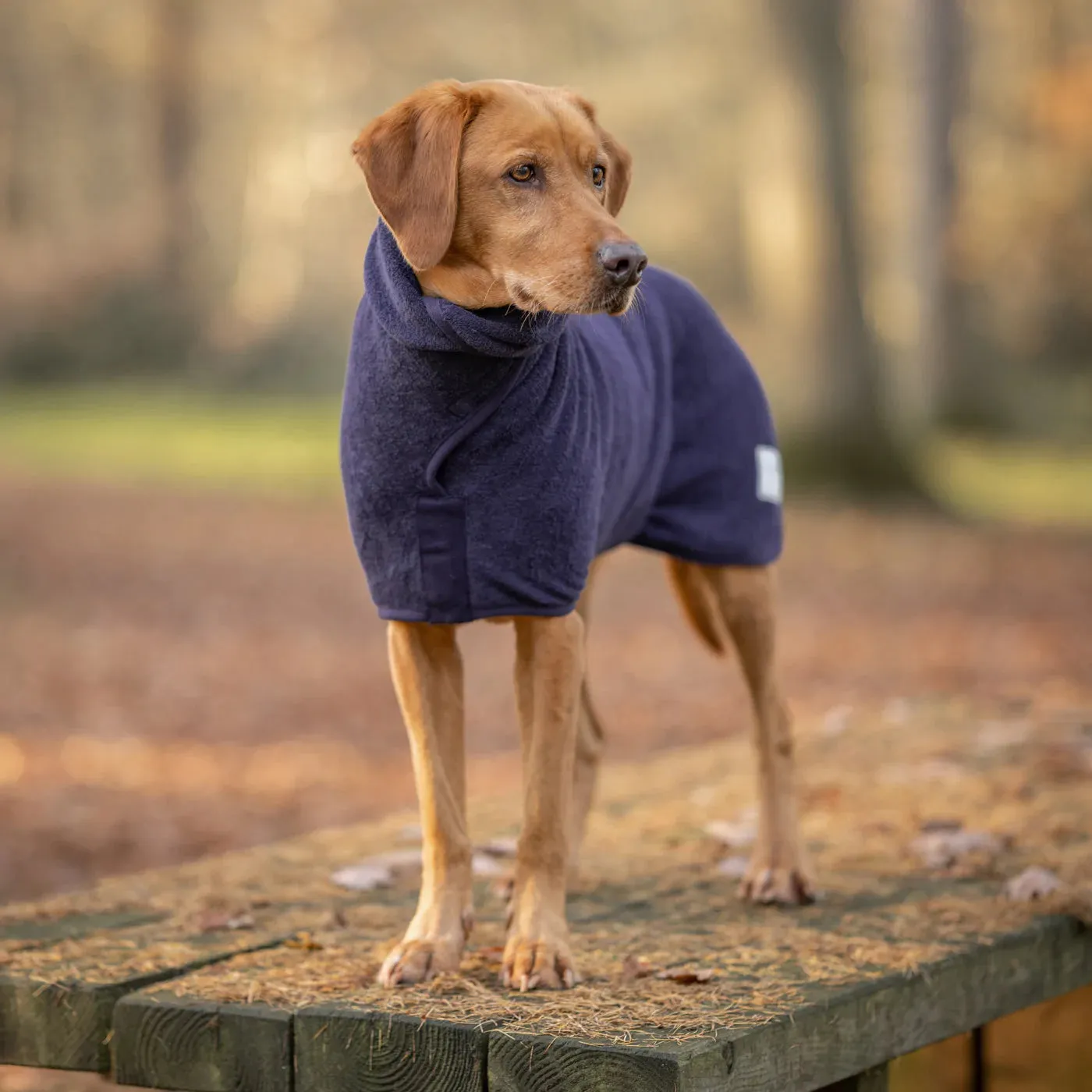 Ruff and Tumble Dog Drying Coat - Blackberry