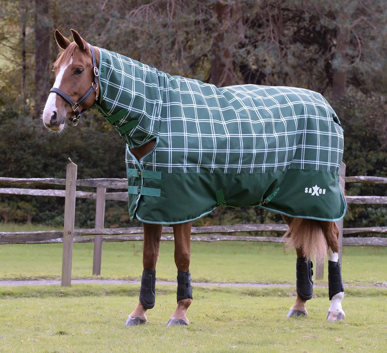 Saxon Defiant 1200D Combo Neck Medium Weight Horse Turnout, Hunter Green Plaid