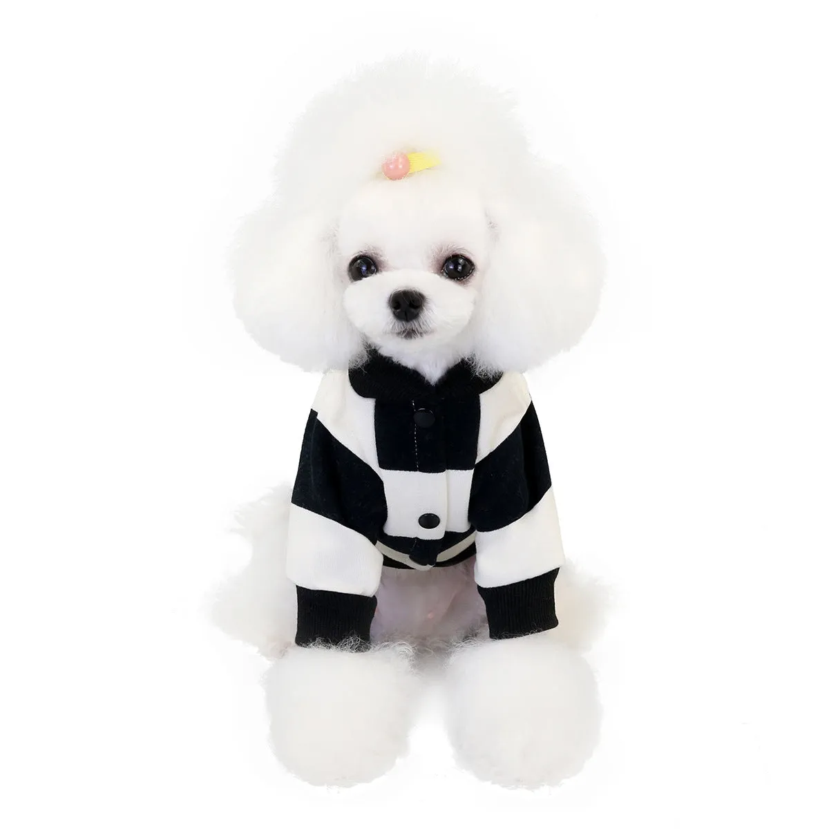 Striped sweater autumn and winter pet clothing