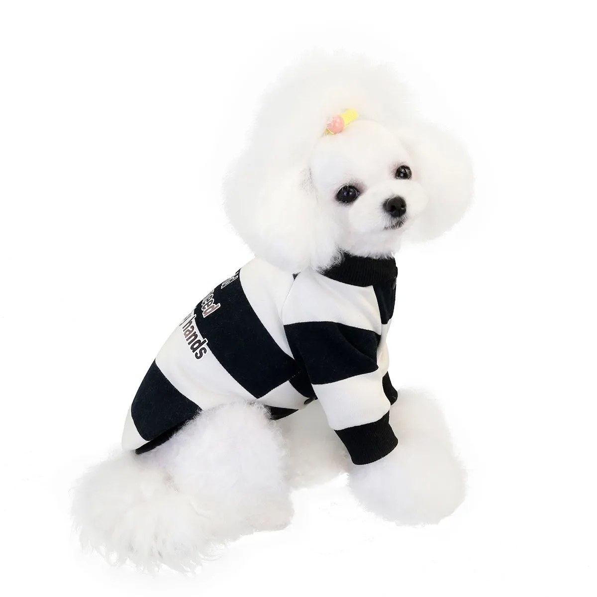 Striped sweater autumn and winter pet clothing